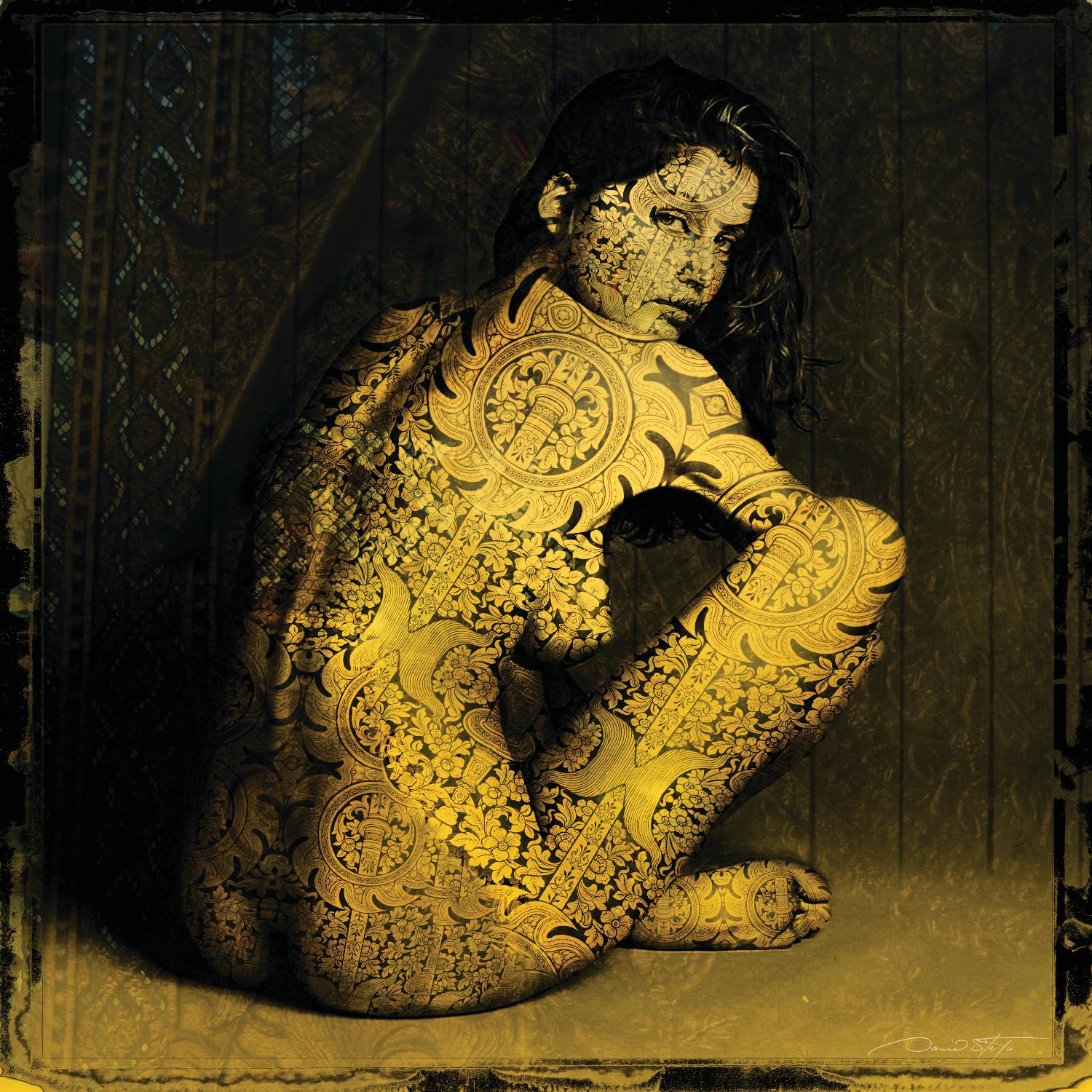 Laetitie Casta Nude by Daniel Stanford on GIANT ART - brown photo art