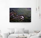 Landscape by Peter Morneau on GIANT ART - green photo art