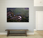 Landscape by Peter Morneau on GIANT ART - green photo art