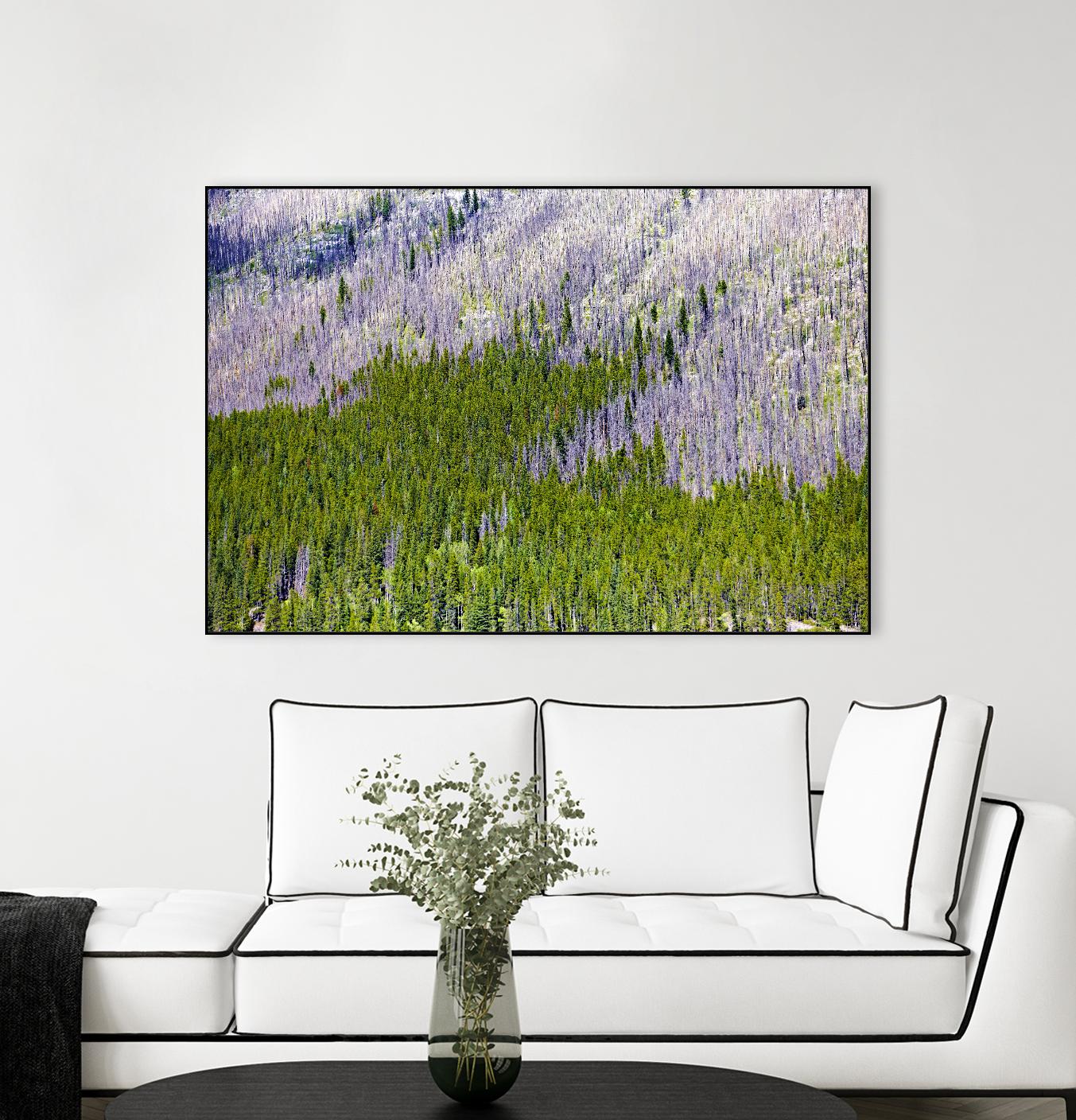 Landscape IV by Peter Morneau on GIANT ART - purple photo art