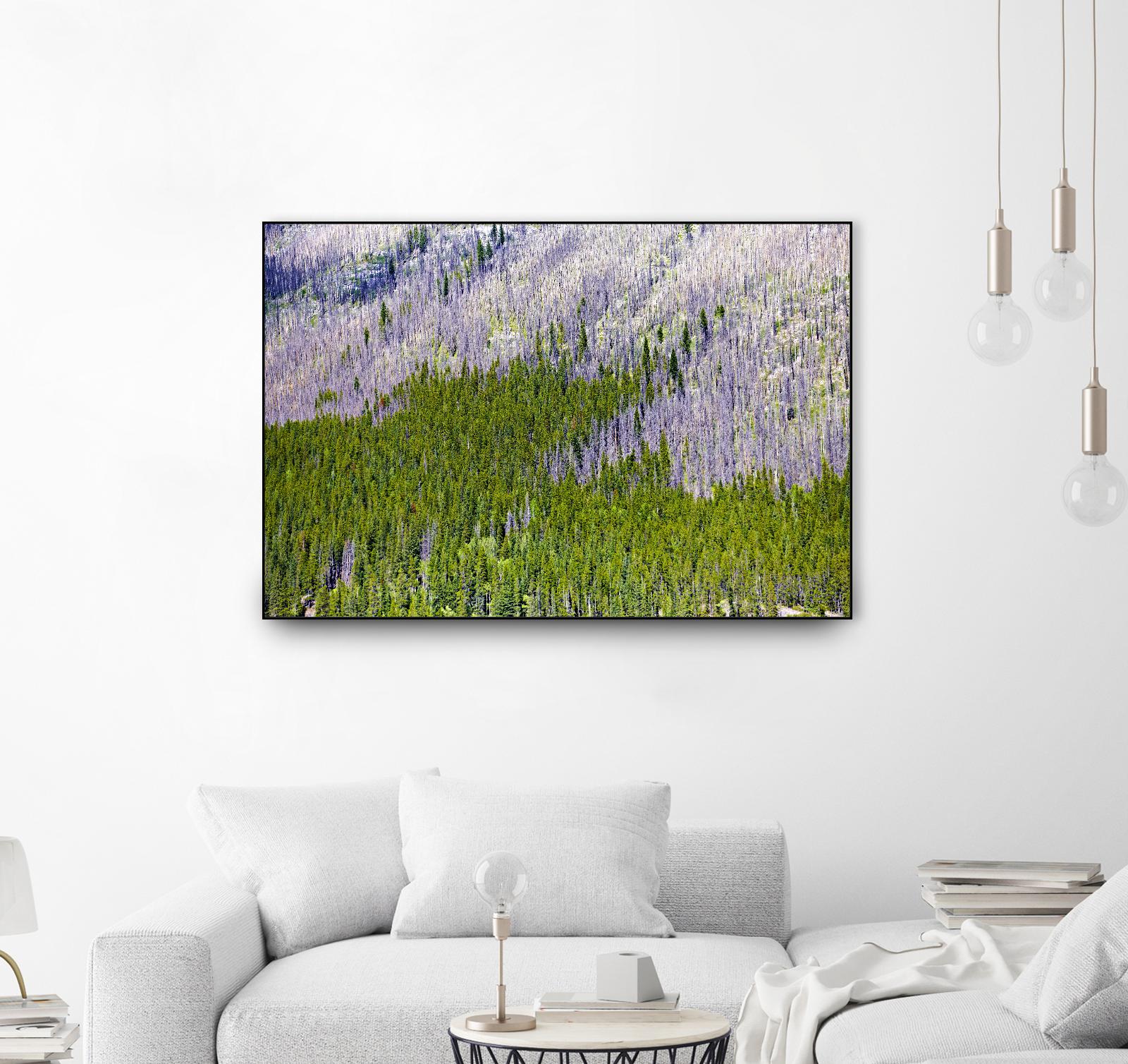 Landscape IV by Peter Morneau on GIANT ART - purple photo art
