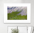 Landscape IV by Peter Morneau on GIANT ART - purple photo art