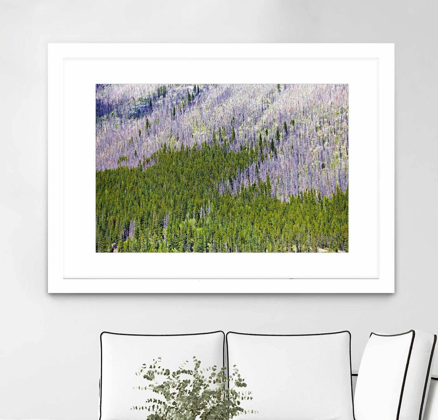 Landscape IV by Peter Morneau on GIANT ART - purple photo art