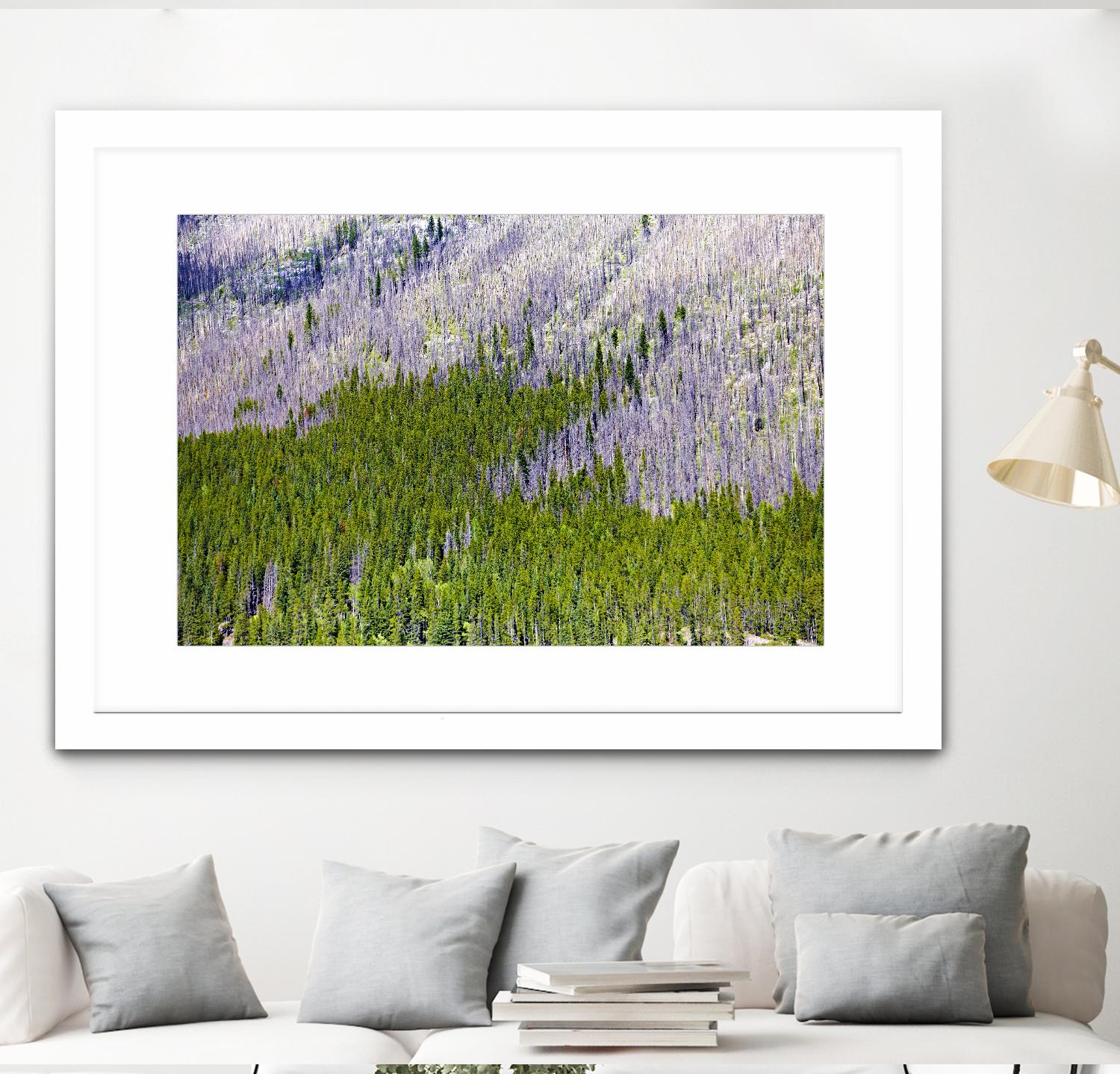 Landscape IV by Peter Morneau on GIANT ART - purple photo art