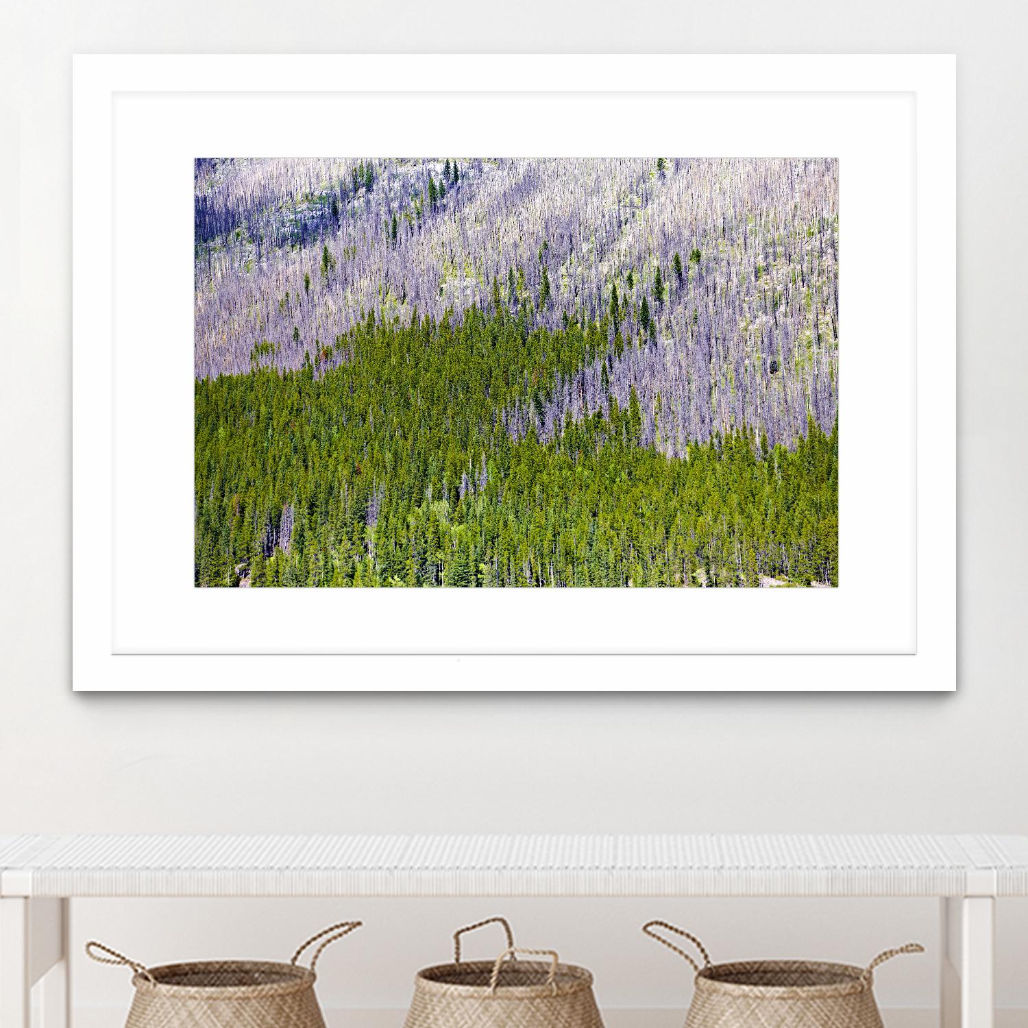 Landscape IV by Peter Morneau on GIANT ART - purple photo art