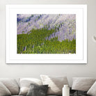 Landscape IV by Peter Morneau on GIANT ART - purple photo art