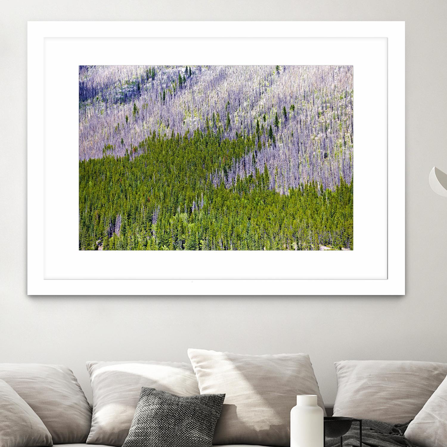 Landscape IV by Peter Morneau on GIANT ART - purple photo art