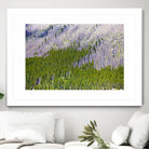 Landscape IV by Peter Morneau on GIANT ART - purple photo art
