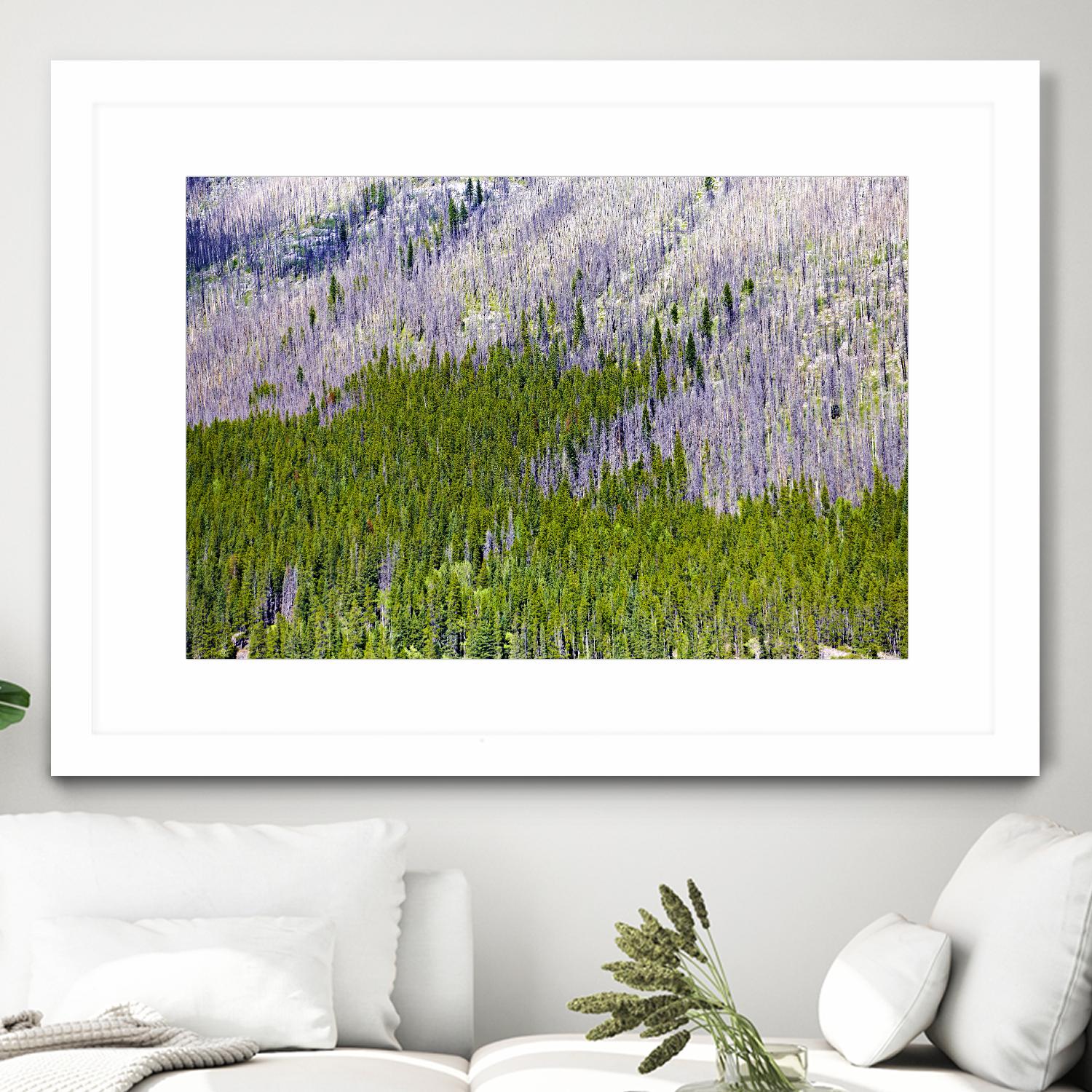 Landscape IV by Peter Morneau on GIANT ART - purple photo art
