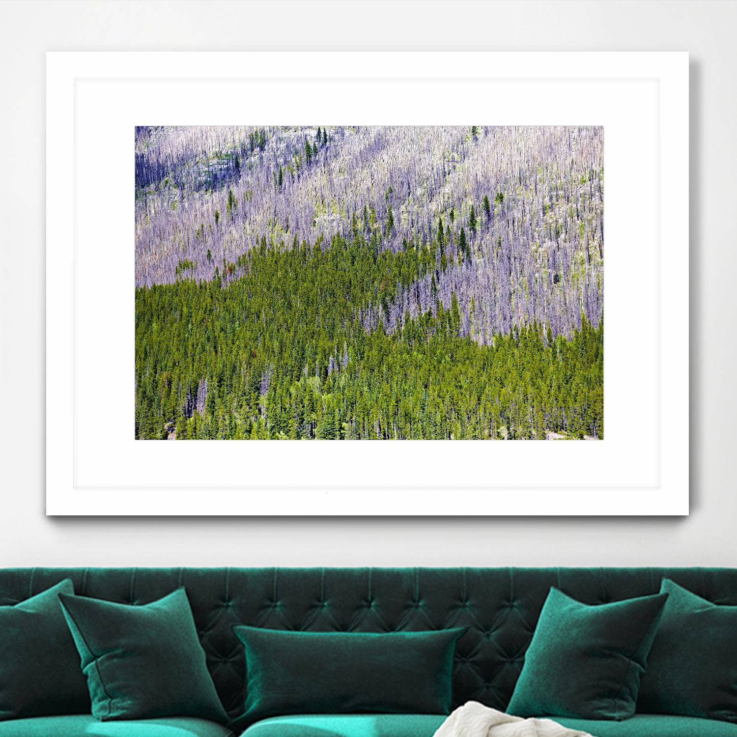 Landscape IV by Peter Morneau on GIANT ART - purple photo art