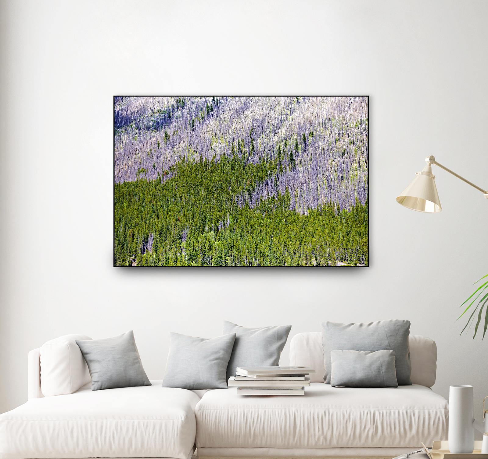 Landscape IV by Peter Morneau on GIANT ART - purple photo art
