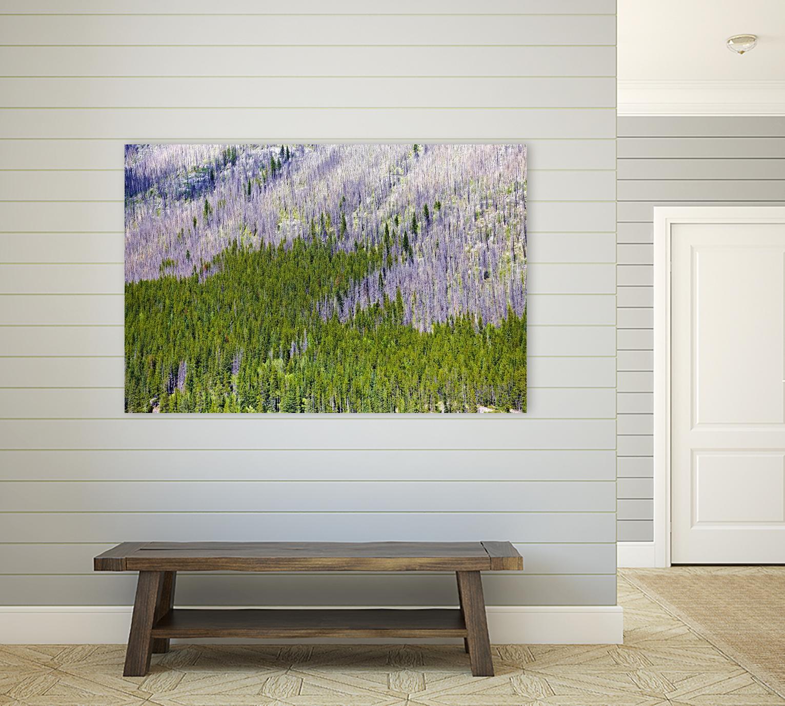 Landscape IV by Peter Morneau on GIANT ART - purple photo art