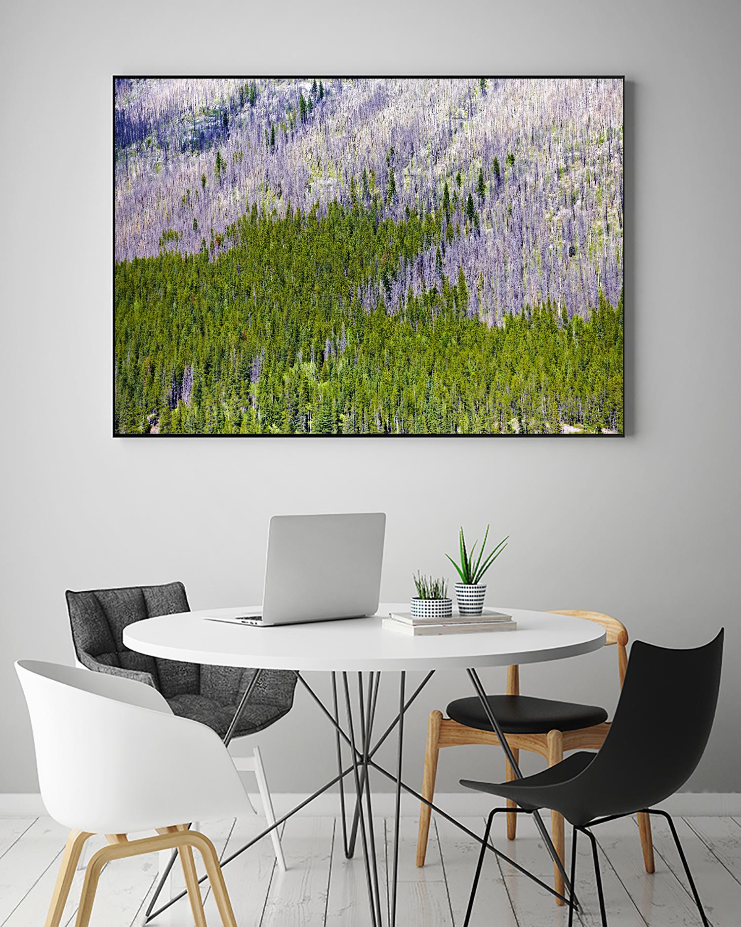 Landscape IV by Peter Morneau on GIANT ART - purple photo art