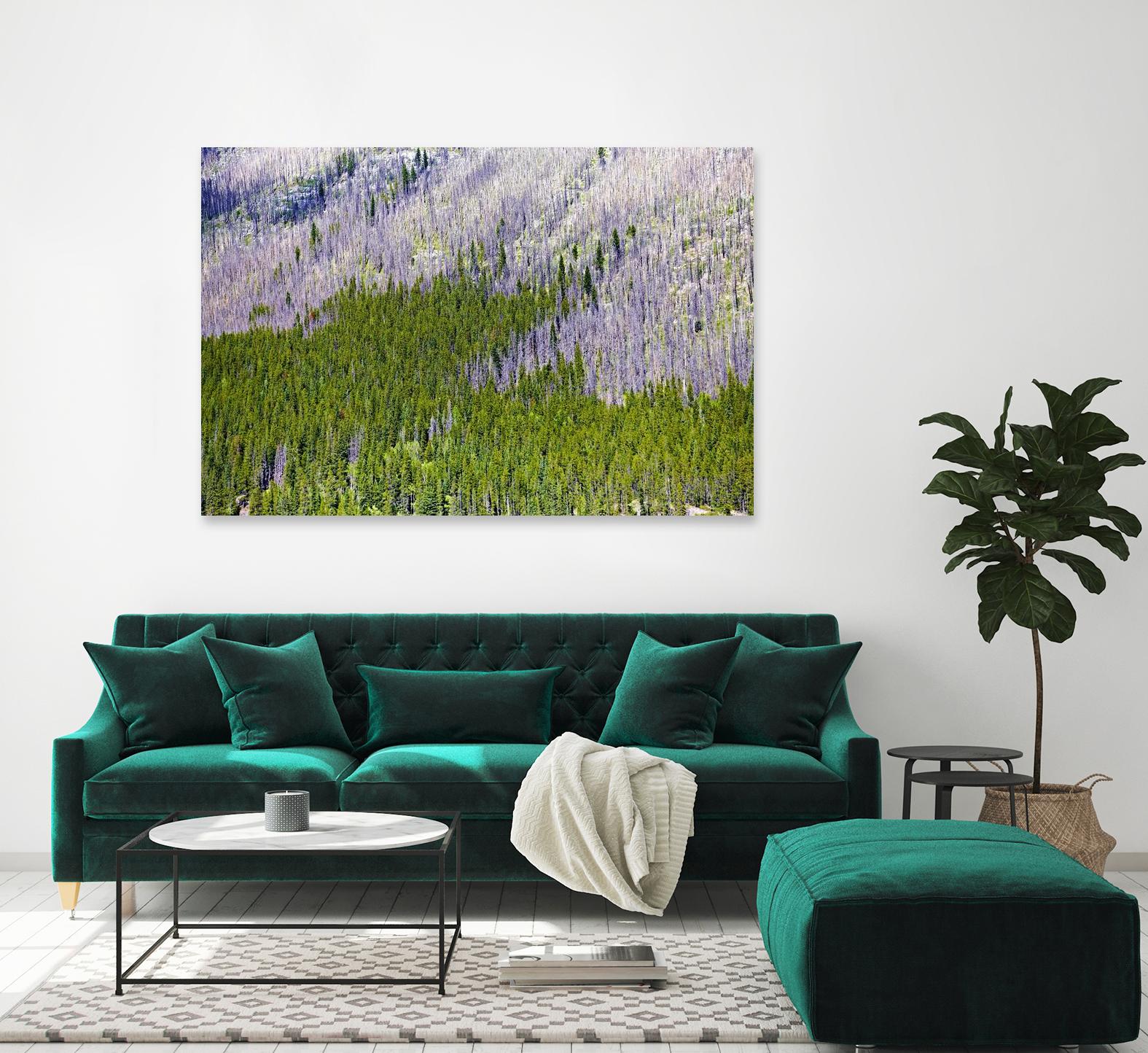 Landscape IV by Peter Morneau on GIANT ART - purple photo art