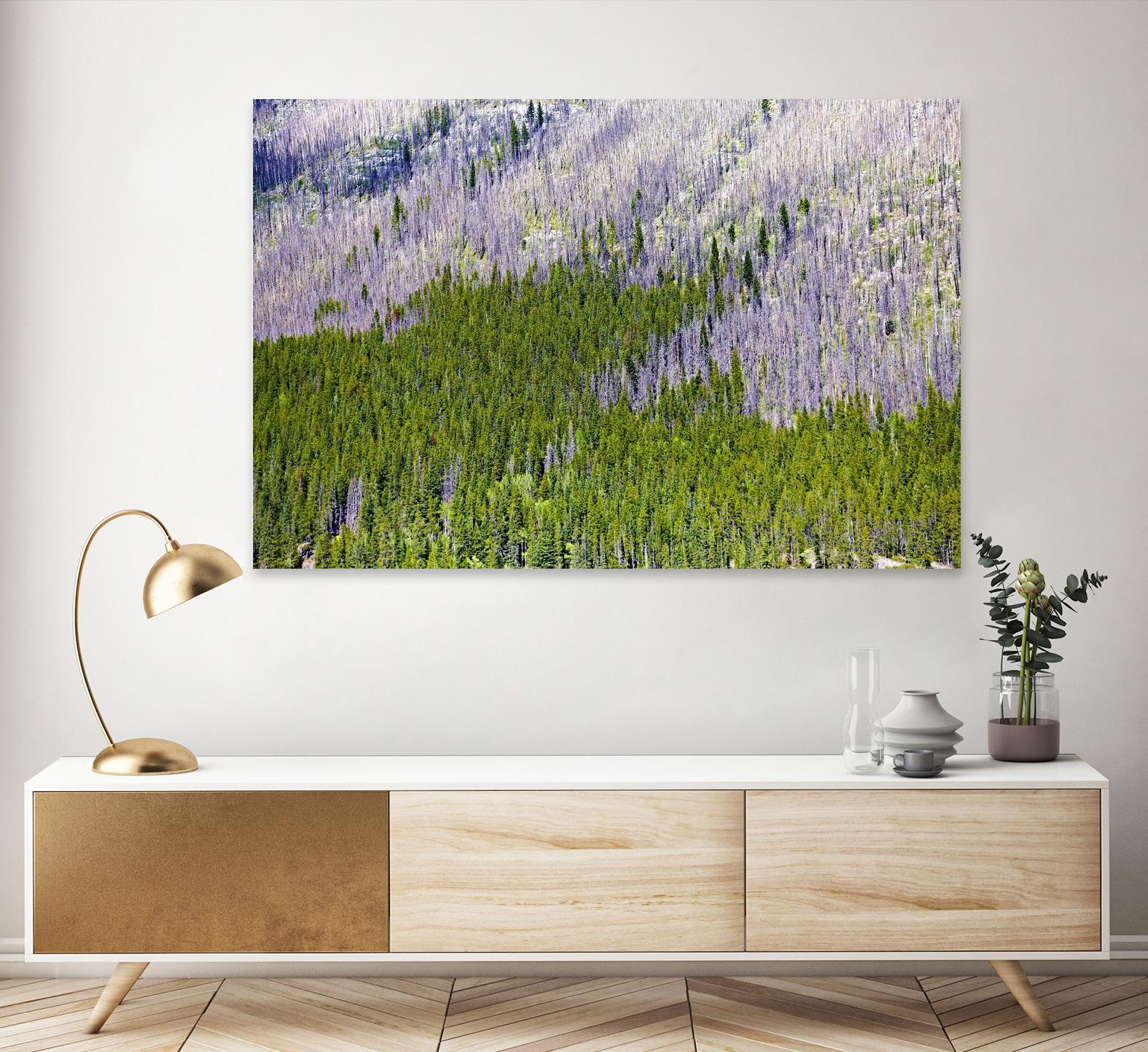 Landscape IV by Peter Morneau on GIANT ART - purple photo art