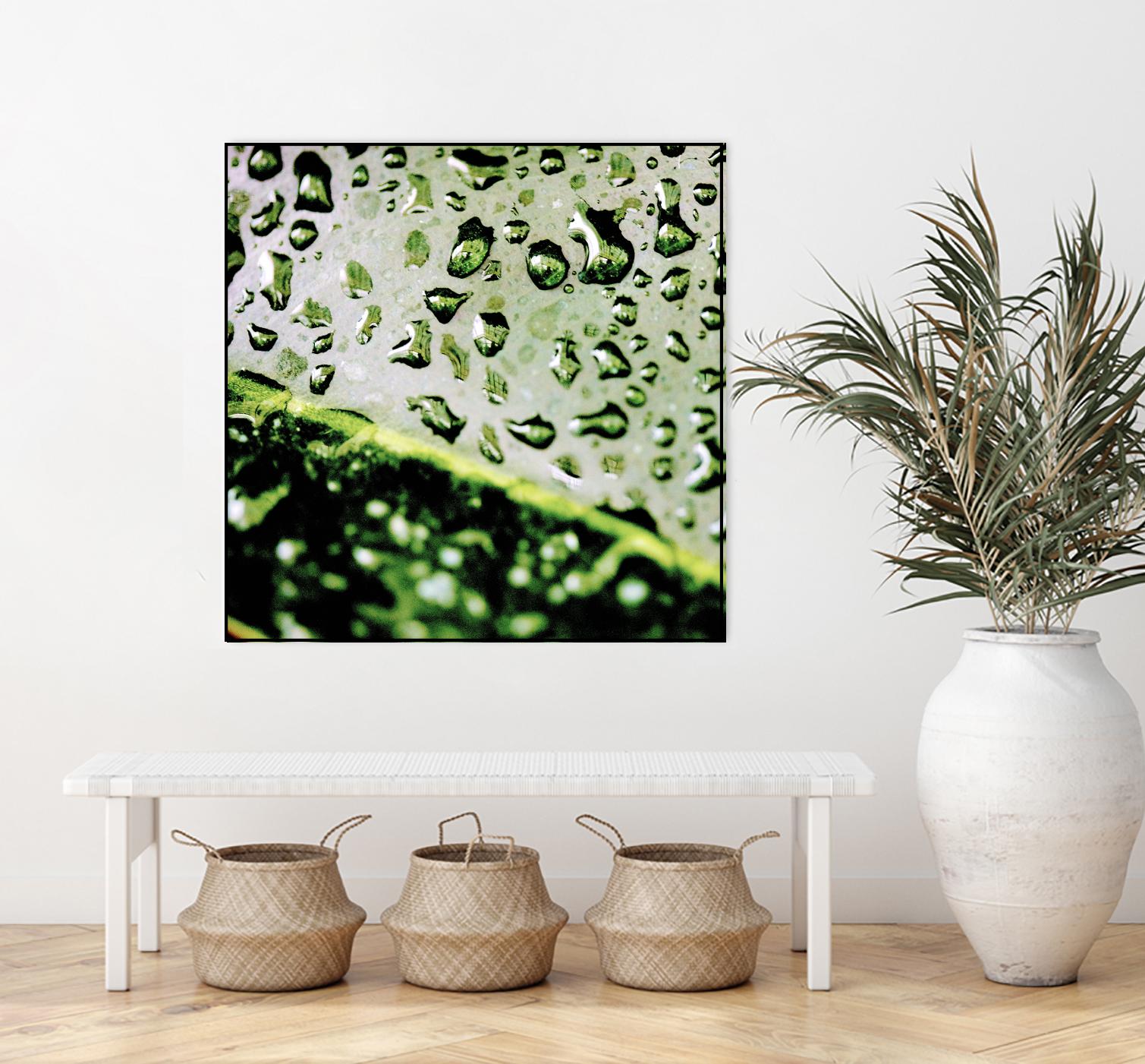 Leaf VI by Peter Morneau on GIANT ART - black photo art