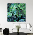 Leaf VIII by Peter Morneau on GIANT ART - white botany