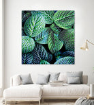 Leaf VIII by Peter Morneau on GIANT ART - white botany