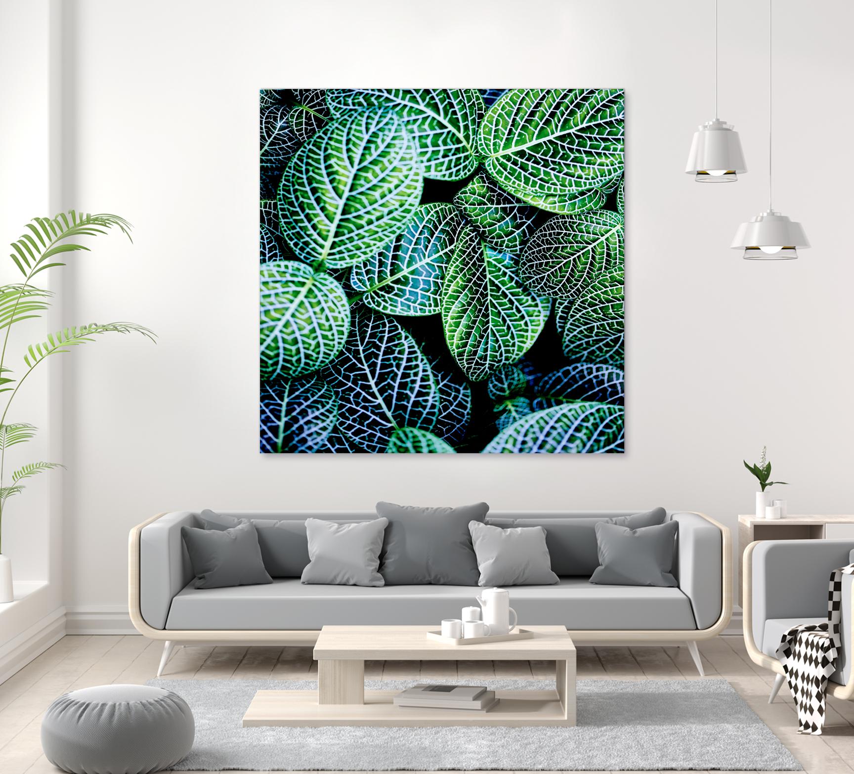 Leaf VIII by Peter Morneau on GIANT ART - white botany