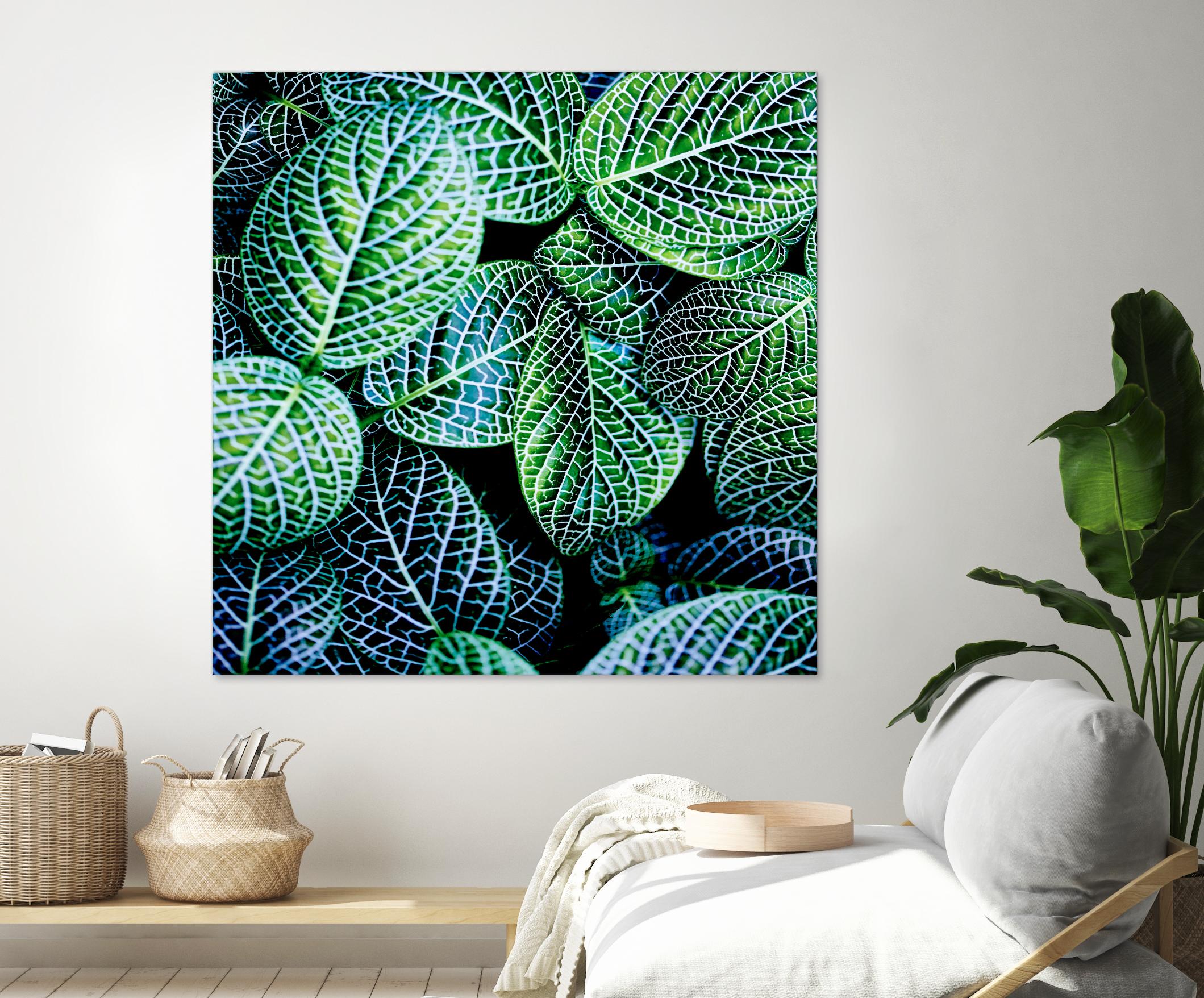 Leaf VIII by Peter Morneau on GIANT ART - white botany