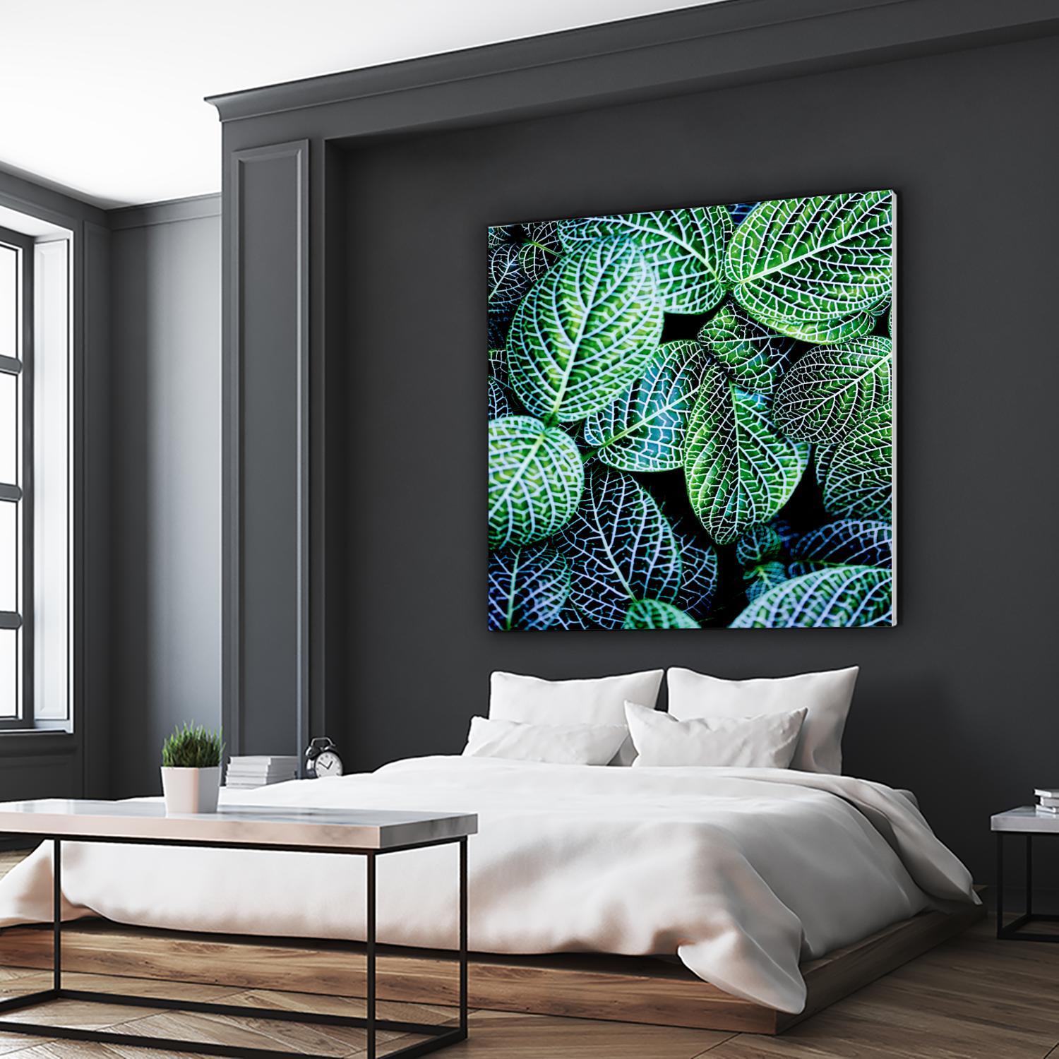 Leaf VIII by Peter Morneau on GIANT ART - white botany