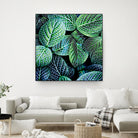 Leaf VIII by Peter Morneau on GIANT ART - white botany