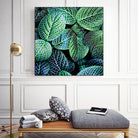 Leaf VIII by Peter Morneau on GIANT ART - white botany