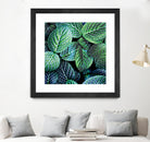 Leaf VIII by Peter Morneau on GIANT ART - white botany