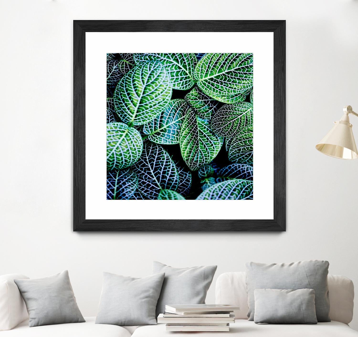 Leaf VIII by Peter Morneau on GIANT ART - white botany