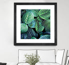 Leaf VIII by Peter Morneau on GIANT ART - white botany