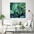 Leaf VIII by Peter Morneau on GIANT ART - white botany