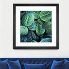 Leaf VIII by Peter Morneau on GIANT ART - white botany