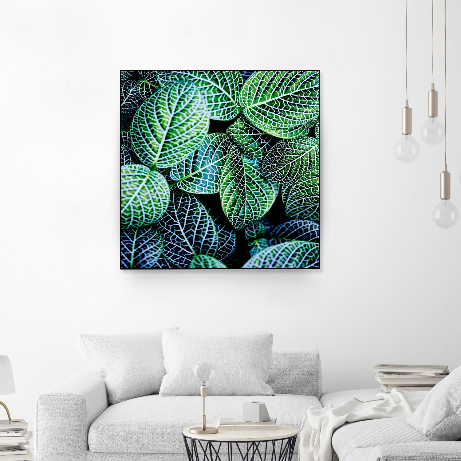 Leaf VIII by Peter Morneau on GIANT ART - white botany