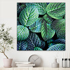 Leaf VIII by Peter Morneau on GIANT ART - white botany