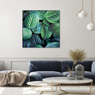 Leaf VIII by Peter Morneau on GIANT ART - white botany