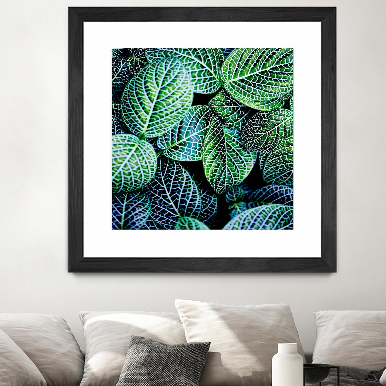 Leaf VIII by Peter Morneau on GIANT ART - white botany