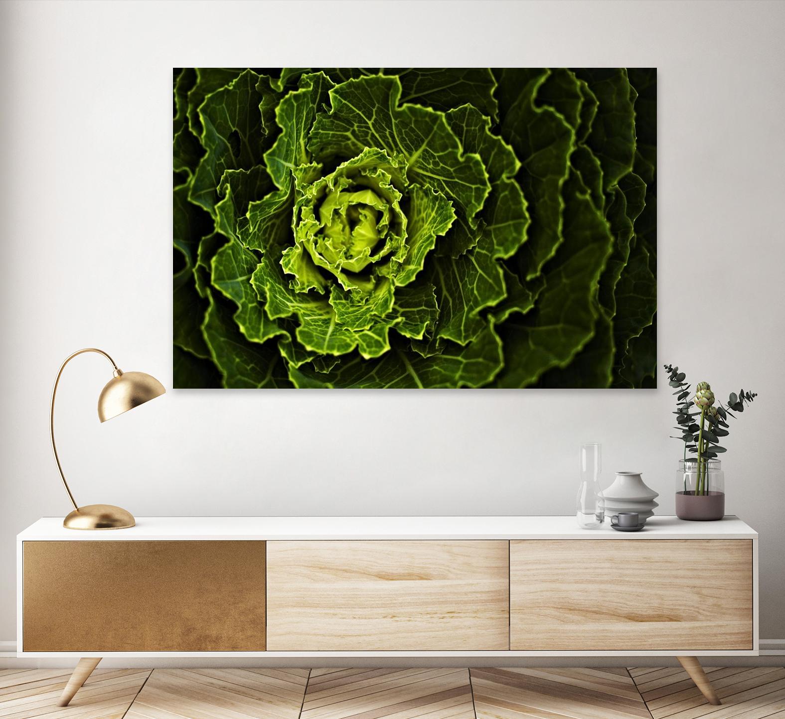 Cabbage I by Peter Morneau on GIANT ART - green photo art