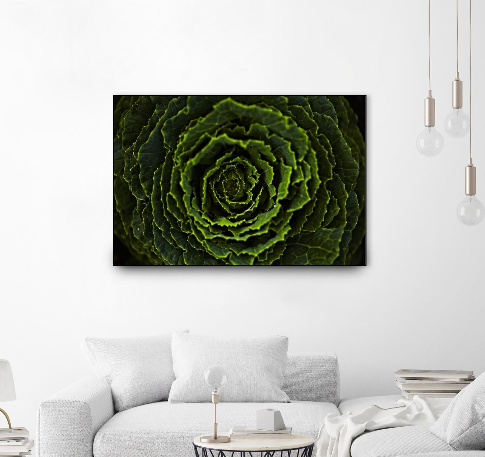 Cabbage II by Peter Morneau on GIANT ART - green photo art