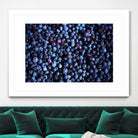 Blueberries II by Peter Morneau on GIANT ART - blue photo art