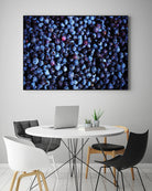 Blueberries II by Peter Morneau on GIANT ART - blue photo art