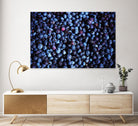 Blueberries II by Peter Morneau on GIANT ART - blue photo art