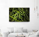Greens I by Peter Morneau on GIANT ART - black photo art