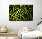 Greens I by Peter Morneau on GIANT ART - black photo art