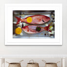 Fish II by Peter Morneau on GIANT ART - yellow photo art