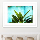Tropical II by Peter Morneau on GIANT ART - green photo art