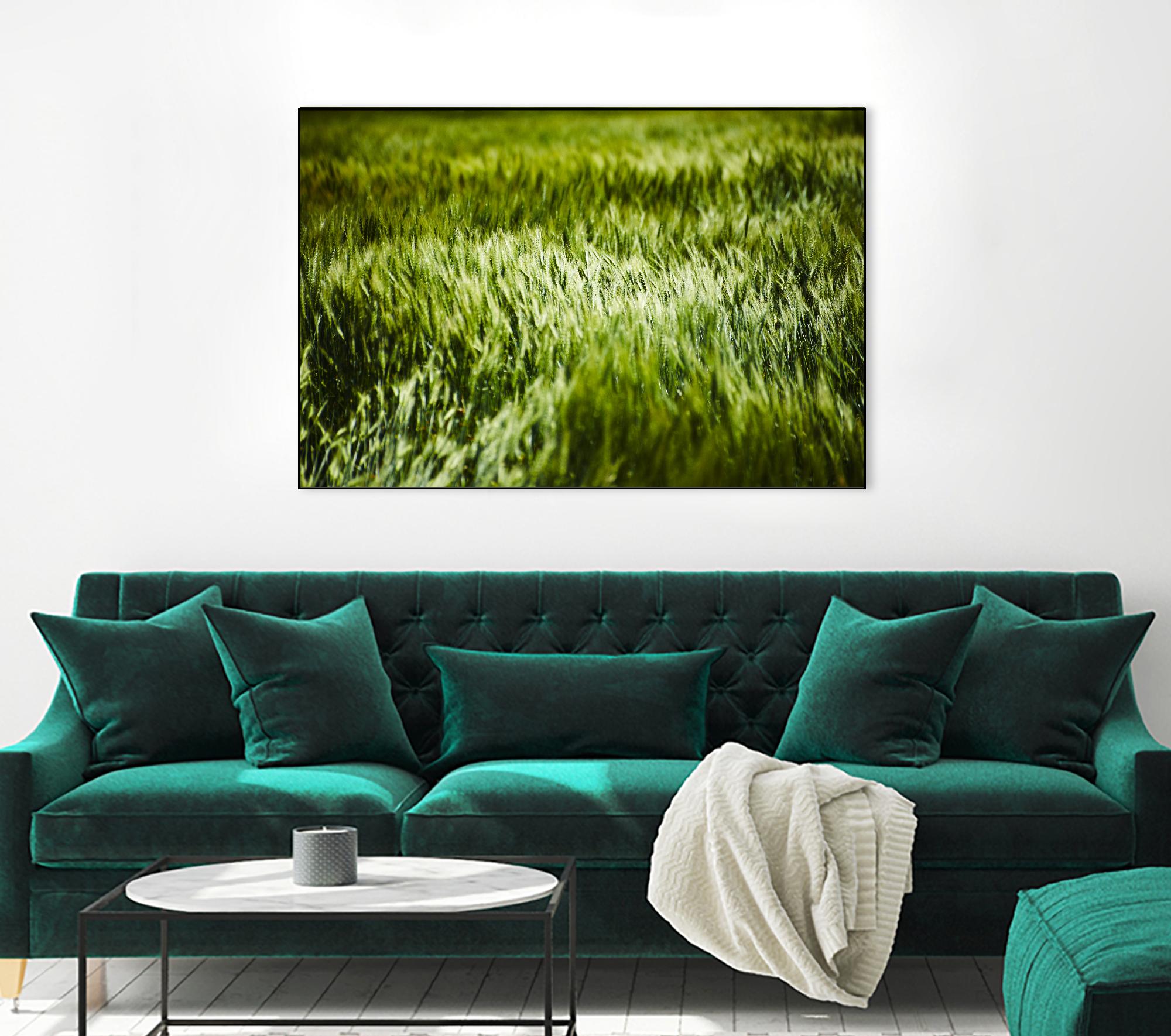 Grass IV by Peter Morneau on GIANT ART - green photo art