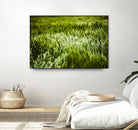 Grass IV by Peter Morneau on GIANT ART - green photo art