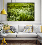 Grass IV by Peter Morneau on GIANT ART - green photo art
