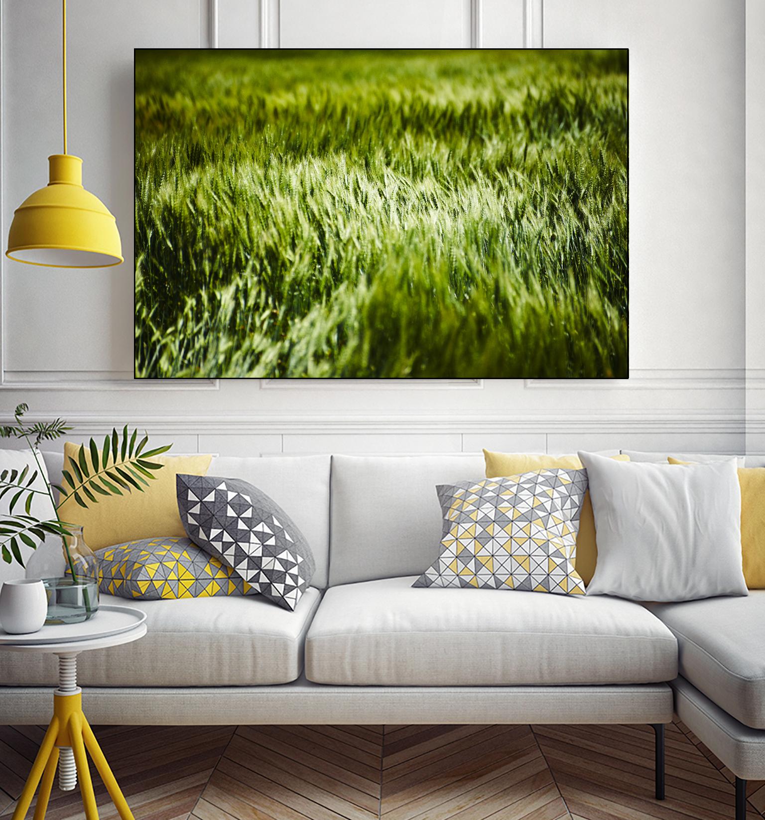 Grass IV by Peter Morneau on GIANT ART - green photo art