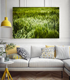 Grass IV by Peter Morneau on GIANT ART - green photo art